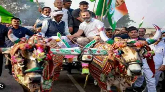 Rahul Gandhi Bharat jodo nyay yatra 3