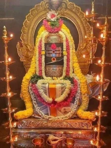 Rameshwaram Jyotirlinga in the Ocean (7)