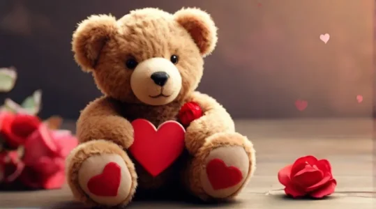 Valentine Teddy Day