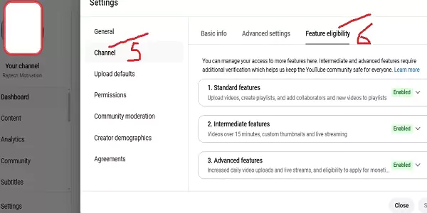 yt Channel Feature Settings 5