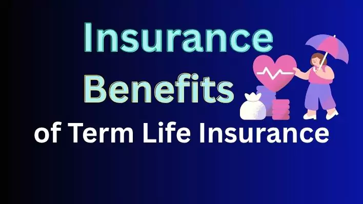 Term Life Insurance benefits, affordable coverage, financial protection, tax benefits customizable riders, financial planning