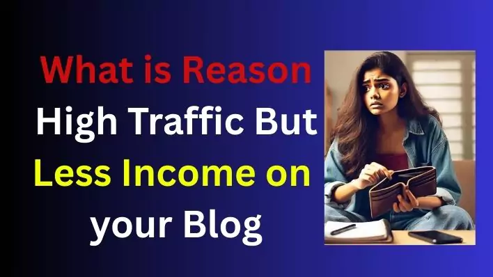 Why Your Website Has High Traffic But Less Income