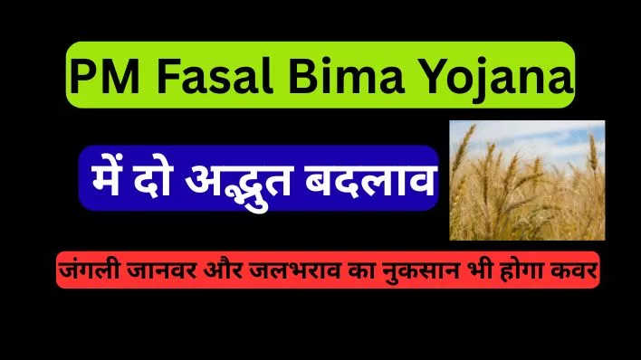 बड़ी खबर! PM Fasal Bima Yojana में दो अद्भुत बदलाव: जंगली जानवर और जलभराव का नुकसान भी होगा कवर
